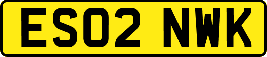 ES02NWK