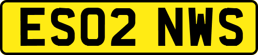 ES02NWS