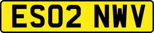 ES02NWV