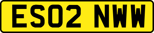 ES02NWW