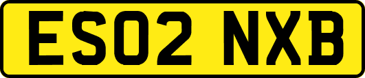 ES02NXB