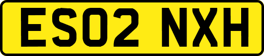 ES02NXH