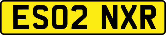 ES02NXR