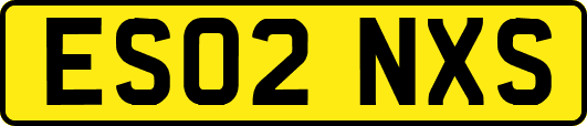 ES02NXS