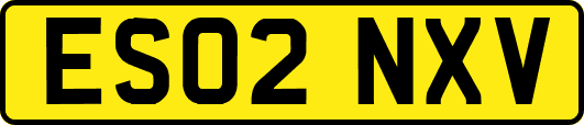 ES02NXV
