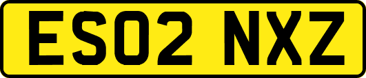 ES02NXZ