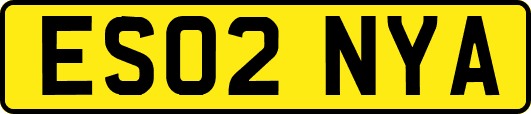 ES02NYA