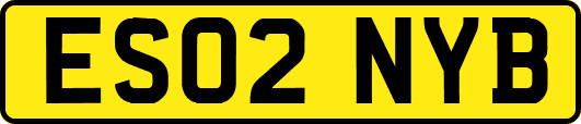 ES02NYB