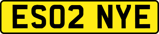 ES02NYE