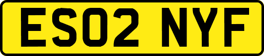ES02NYF