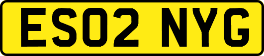 ES02NYG