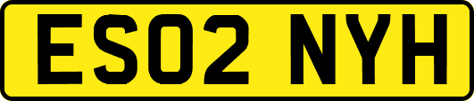 ES02NYH