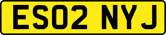 ES02NYJ