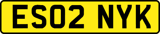 ES02NYK