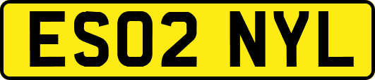 ES02NYL