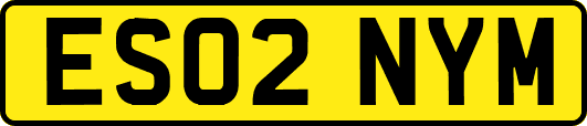 ES02NYM