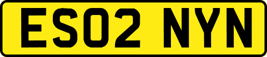 ES02NYN