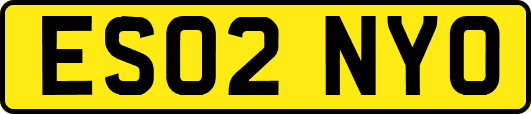 ES02NYO