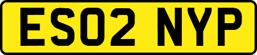 ES02NYP