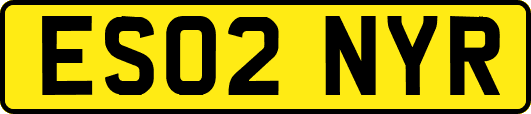 ES02NYR