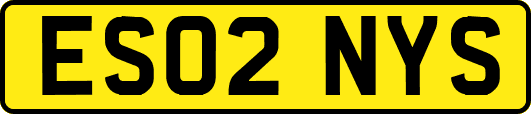 ES02NYS