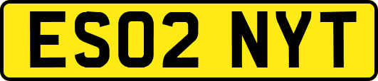 ES02NYT