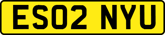 ES02NYU