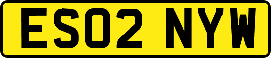 ES02NYW