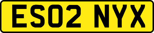 ES02NYX