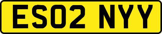 ES02NYY
