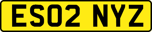 ES02NYZ
