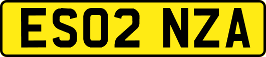 ES02NZA