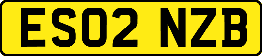 ES02NZB