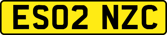 ES02NZC