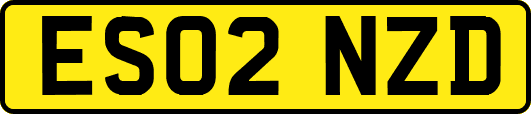 ES02NZD