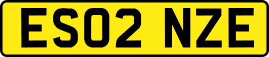 ES02NZE