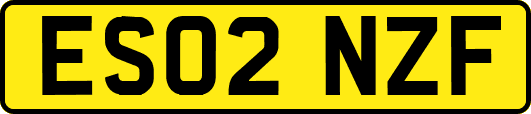 ES02NZF