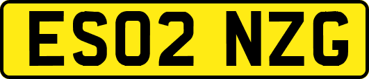 ES02NZG