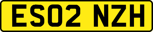 ES02NZH