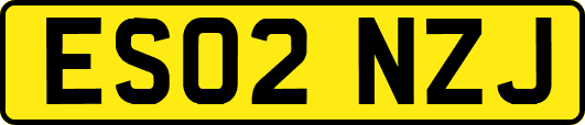 ES02NZJ
