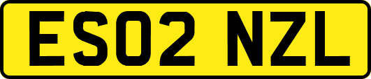 ES02NZL