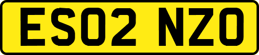 ES02NZO