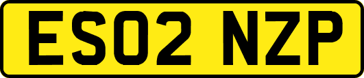 ES02NZP