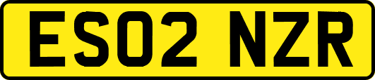 ES02NZR