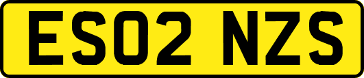 ES02NZS