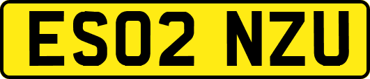 ES02NZU
