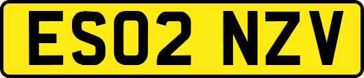 ES02NZV