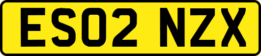 ES02NZX