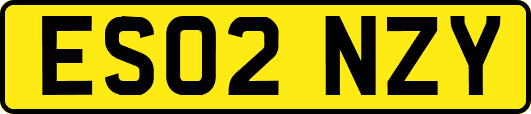 ES02NZY