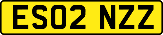 ES02NZZ